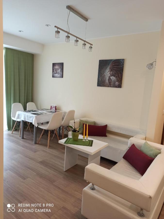 Nelli Apartamentai Druskininkai Ngoại thất bức ảnh